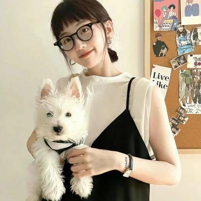 秋田犬蓬夫